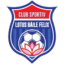Sânmartin logo