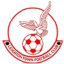 Leighton Town logo