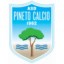 Pineto logo