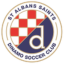St. Albans Saints logo